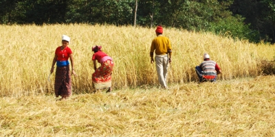 Agro Tour In Nepal