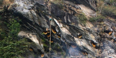 Honey Hunting Trip In Ludi