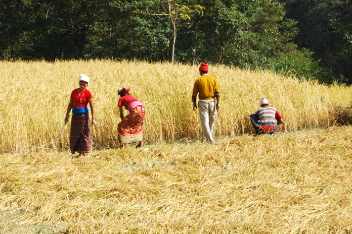 Agro Tour In Nepal