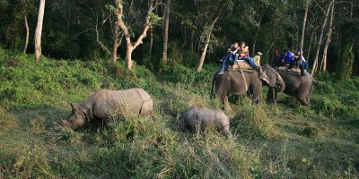 Chitwan National Park Tour (2 Nights 3 Days)